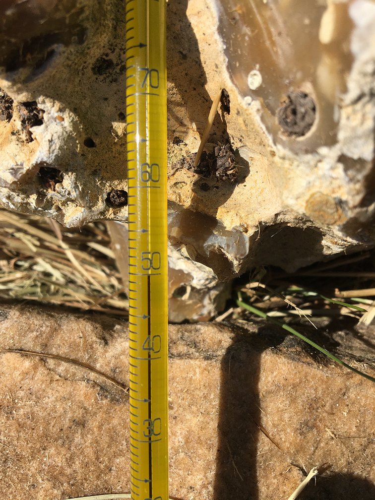 Agissons contre le changement climatique.